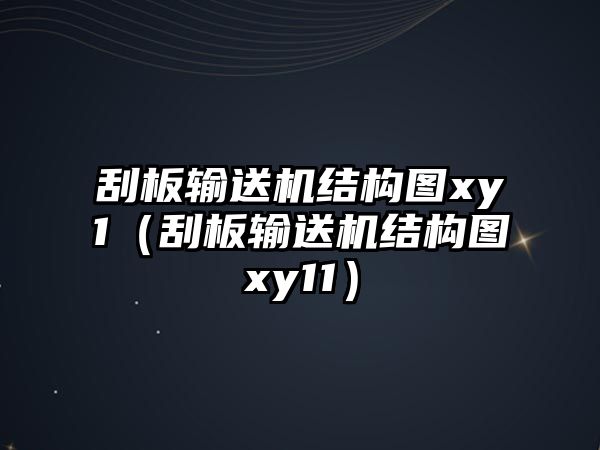 刮板輸送機(jī)結(jié)構(gòu)圖xy1（刮板輸送機(jī)結(jié)構(gòu)圖xy11）