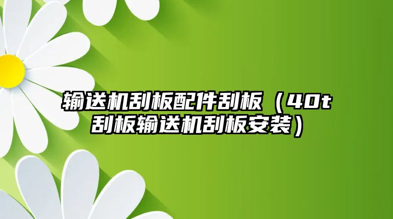 輸送機(jī)刮板配件刮板（40t刮板輸送機(jī)刮板安裝）