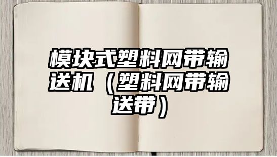 模塊式塑料網(wǎng)帶輸送機(jī)（塑料網(wǎng)帶輸送帶）