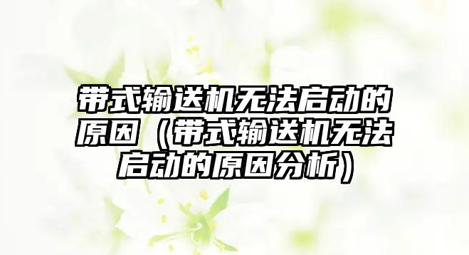 帶式輸送機無法啟動的原因（帶式輸送機無法啟動的原因分析）