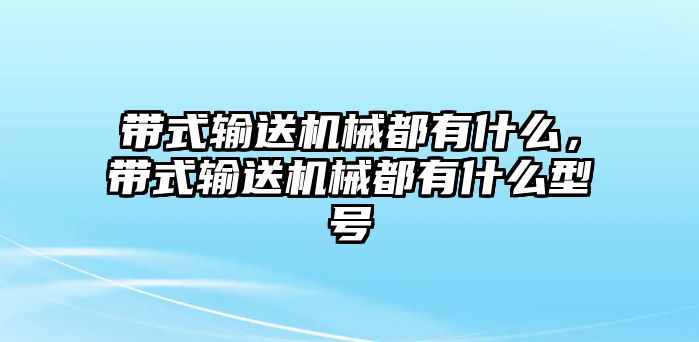 帶式輸送機械都有什么，帶式輸送機械都有什么型號