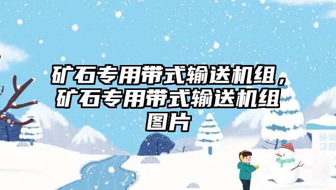 礦石專用帶式輸送機組，礦石專用帶式輸送機組圖片