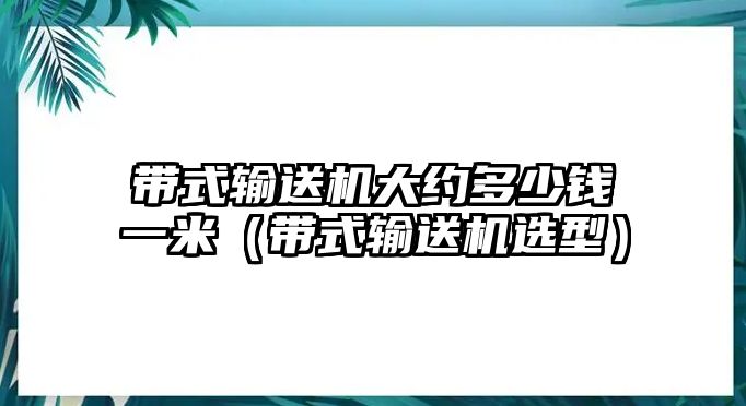 帶式輸送機(jī)大約多少錢(qián)一米（帶式輸送機(jī)選型）