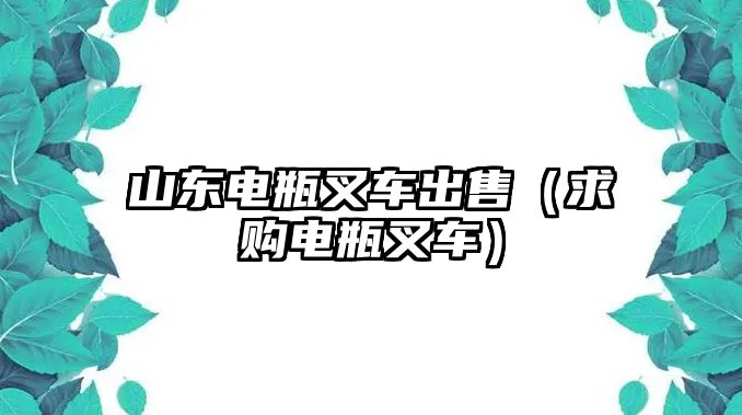 山東電瓶叉車出售（求購(gòu)電瓶叉車）