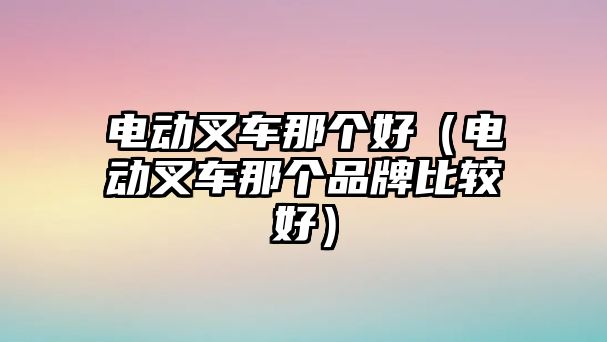 電動叉車那個好（電動叉車那個品牌比較好）