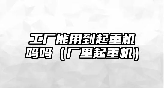 工廠能用到起重機嗎嗎（廠里起重機）