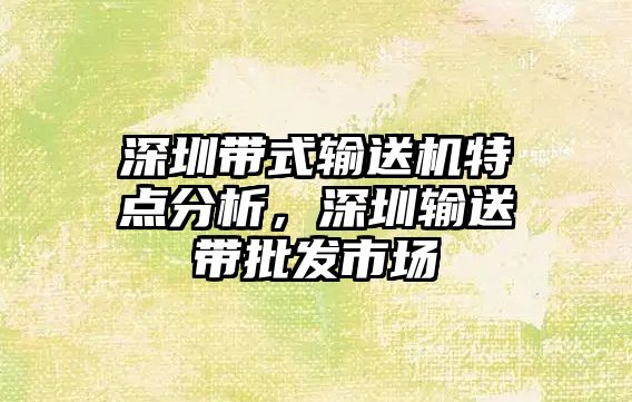 深圳帶式輸送機特點分析，深圳輸送帶批發(fā)市場