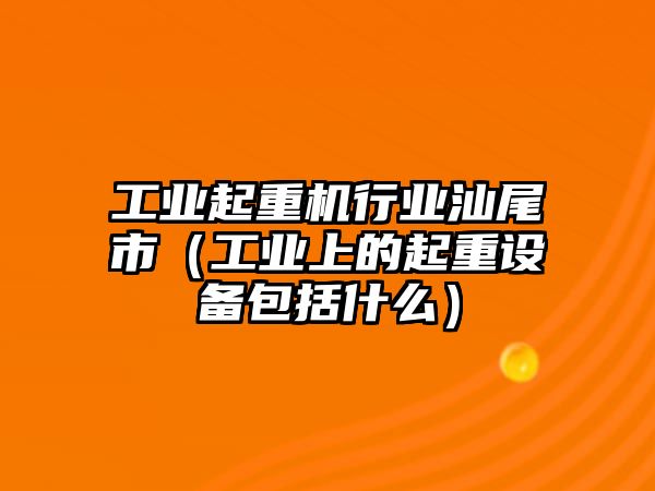 工業(yè)起重機(jī)行業(yè)汕尾市（工業(yè)上的起重設(shè)備包括什么）