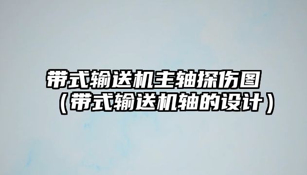 帶式輸送機主軸探傷圖（帶式輸送機軸的設計）