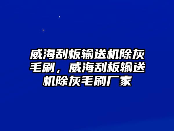 威海刮板輸送機(jī)除灰毛刷，威海刮板輸送機(jī)除灰毛刷廠家