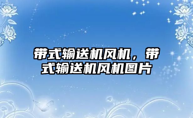 帶式輸送機風(fēng)機，帶式輸送機風(fēng)機圖片