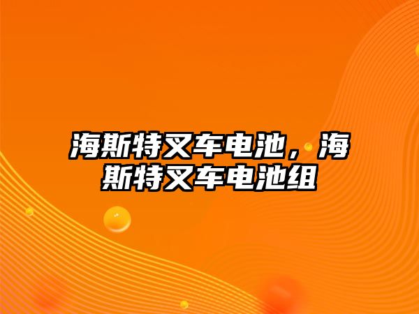 海斯特叉車電池，海斯特叉車電池組