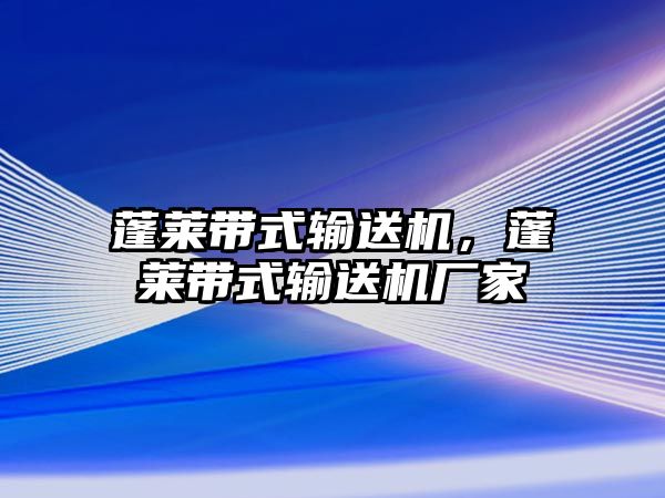 蓬萊帶式輸送機，蓬萊帶式輸送機廠(chǎng)家