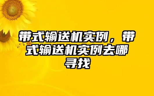 帶式輸送機實例，帶式輸送機實例去哪尋找