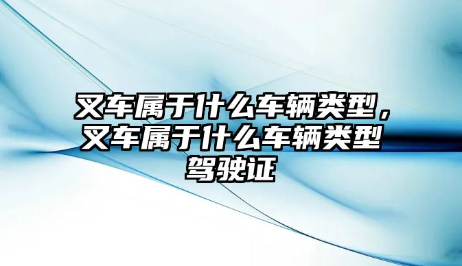 叉車屬于什么車輛類型，叉車屬于什么車輛類型駕駛證