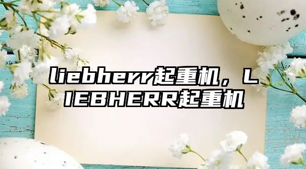 liebherr起重機(jī)，LIEBHERR起重機(jī)