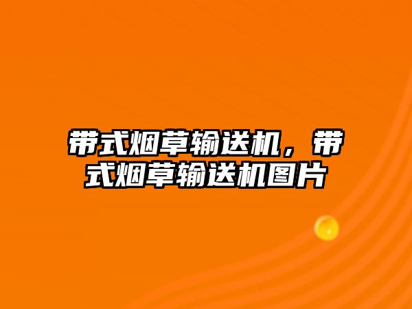 帶式煙草輸送機，帶式煙草輸送機圖片