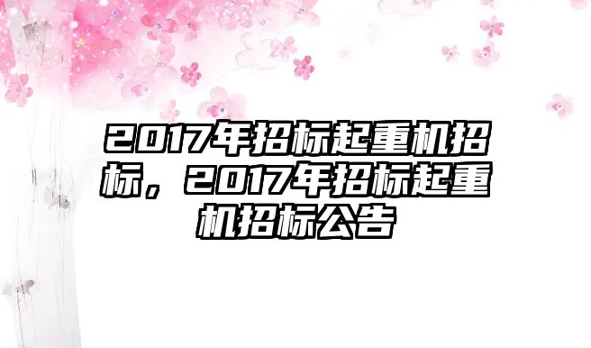 2017年招標(biāo)起重機(jī)招標(biāo)，2017年招標(biāo)起重機(jī)招標(biāo)公告