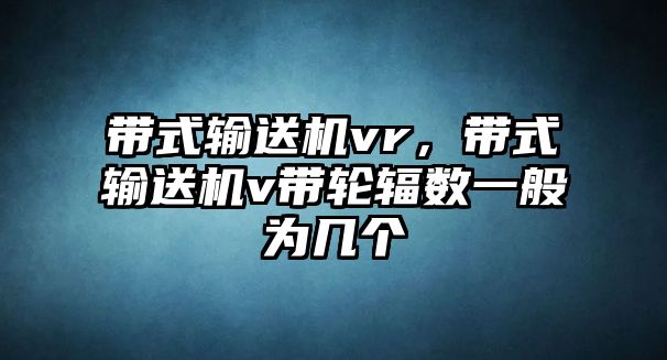 帶式輸送機vr，帶式輸送機v帶輪輻數一般為幾個