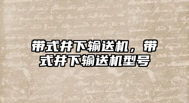 帶式井下輸送機，帶式井下輸送機型號