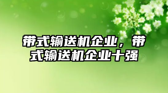 帶式輸送機(jī)企業(yè)，帶式輸送機(jī)企業(yè)十強(qiáng)