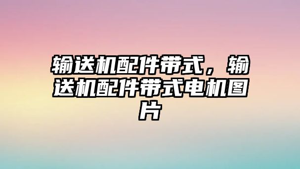 輸送機配件帶式，輸送機配件帶式電機圖片