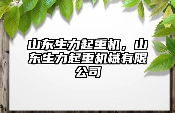 山東生力起重機，山東生力起重機械有限公司