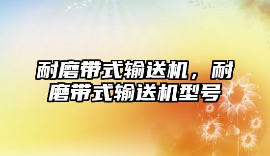 耐磨帶式輸送機，耐磨帶式輸送機型號