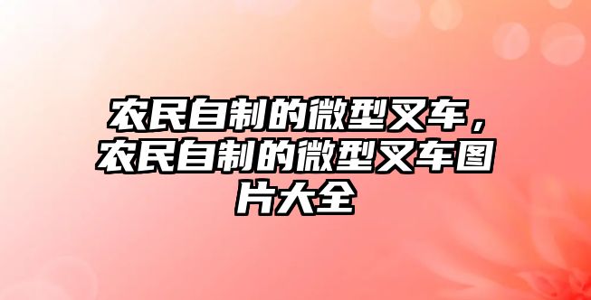 農民自制的微型叉車，農民自制的微型叉車圖片大全