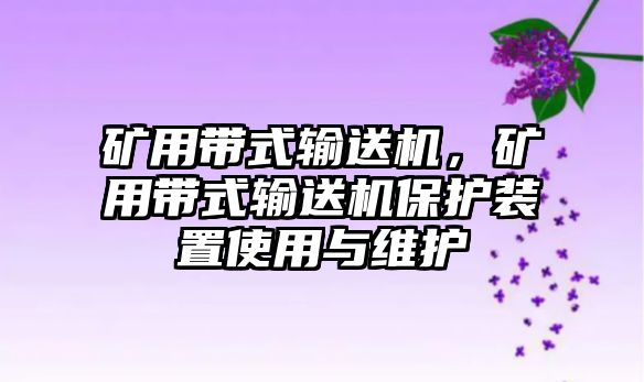 礦用帶式輸送機(jī)，礦用帶式輸送機(jī)保護(hù)裝置使用與維護(hù)