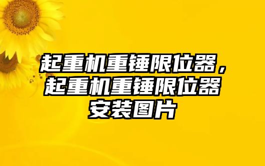 起重機重錘限位器，起重機重錘限位器安裝圖片