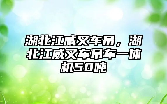 湖北江威叉車吊，湖北江威叉車吊車一體機50噸