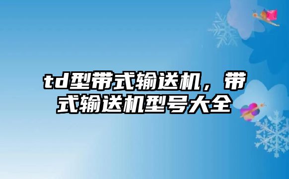 td型帶式輸送機，帶式輸送機型號大全